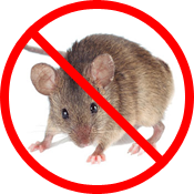 Pest Control - Mice & Rats