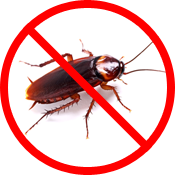 Pest Control - Cockroaches