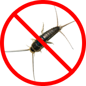 Pest Control - Silverfish