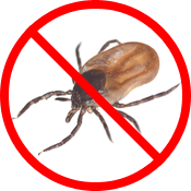 Pest Control - Fleas & Ticks
